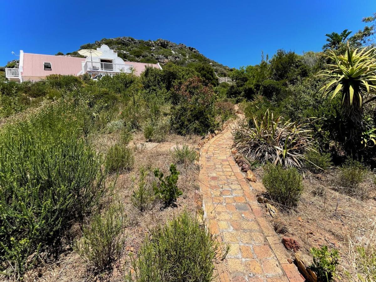 Windrose, Noordhoek, Sensationeller Meerblick Κέιπ Τάουν Εξωτερικό φωτογραφία